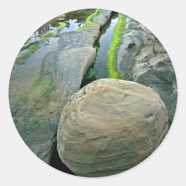 Pegatina Redonda Estados Unidos, Oregón, Parque Estatal Shore Acres (Anverso)