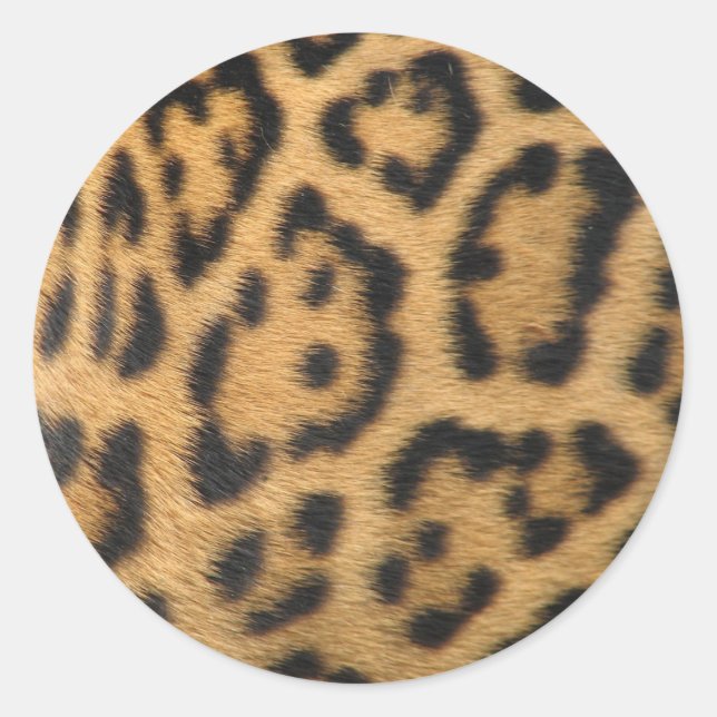Pegatina Redonda Estampado de leopardo (Anverso)