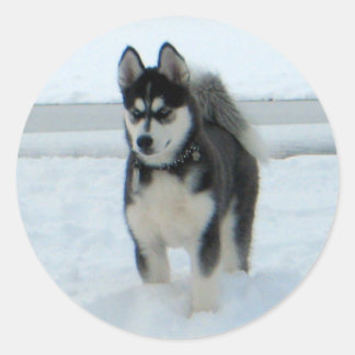 Pegatina Redonda Este es el problema