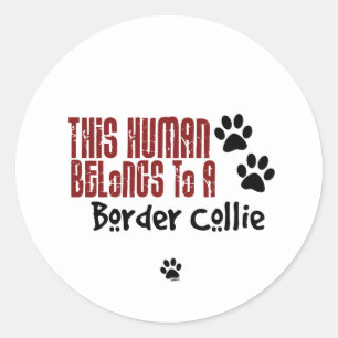 Pegatina Redonda Este ser humano pertenece a un border collie