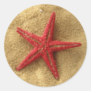 Pegatina Redonda estrella roja