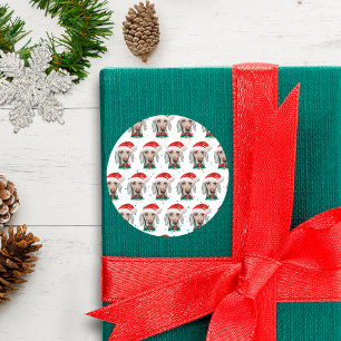 Pegatina Redonda Estrellas de Navidades de raza de perro de Weimara