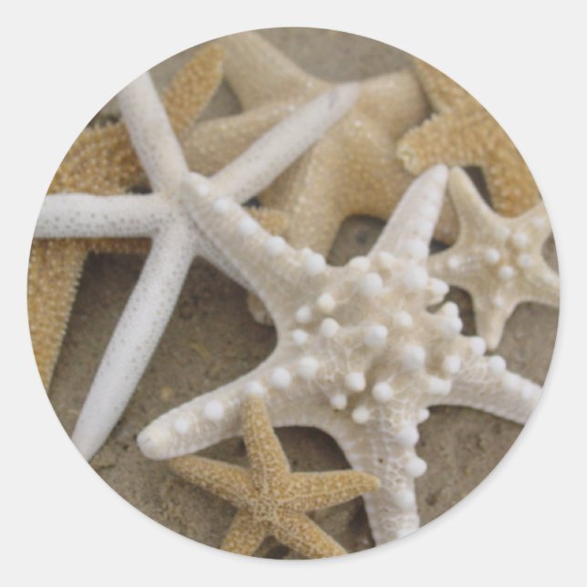 Pegatina Redonda Estrellas marinas (Anverso)