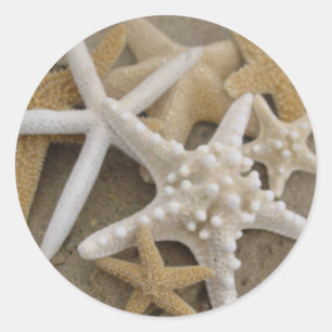 Pegatina Redonda Estrellas marinas