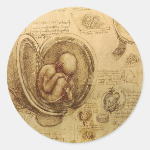 Pegatina Redonda Estudio del feto de bebé de Leonardo da Vinci