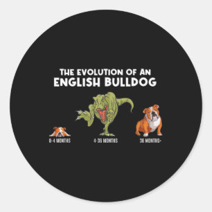 Pegatina Redonda Evolución De Un Bulldog Divertido De La Madre Del