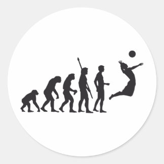 Pegatina Redonda evolution volleyball