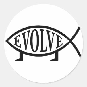 Pegatina Redonda Evolve Fish
