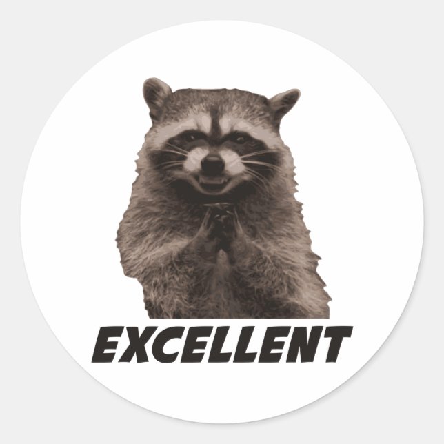 Pegatina Redonda Excelente Raccoon (Anverso)