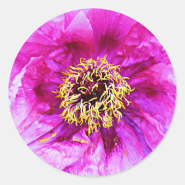 Pegatina Redonda Explosión rosa