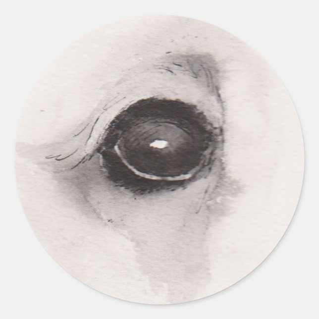 Pegatina Redonda Eye of the Bear – Gaze Collection (Anverso)