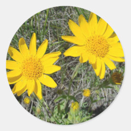 Pegatina Redonda F15 Flores silvestres amarillas estornudos