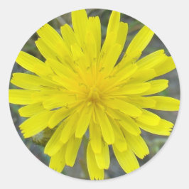 Pegatina Redonda F16 Yellow Wildflower King Devil