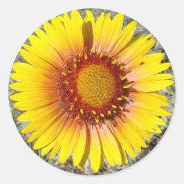 Pegatina Redonda F17a Flores silvestres amarillas Gaillardia