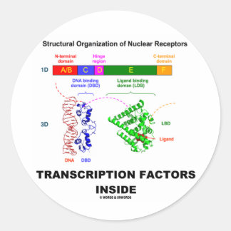 Pegatina Redonda Factores de transcripción en el interior (Receptor