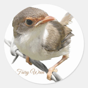 Pegatina Redonda Fairywren