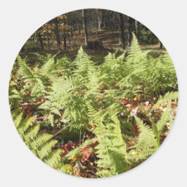 Pegatina Redonda Fall Ferns