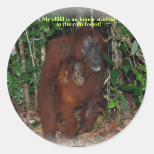 Pegatina Redonda Familia animal linda de la selva del orangután