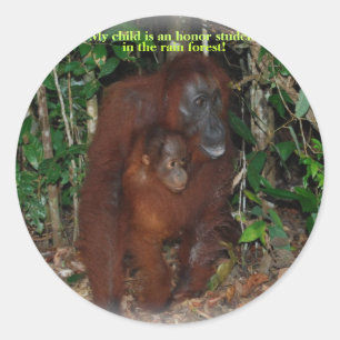 Pegatina Redonda Familia animal linda de la selva del orangután