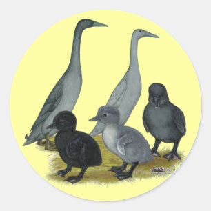 Pegatina Redonda Familia Blue Runner Duck
