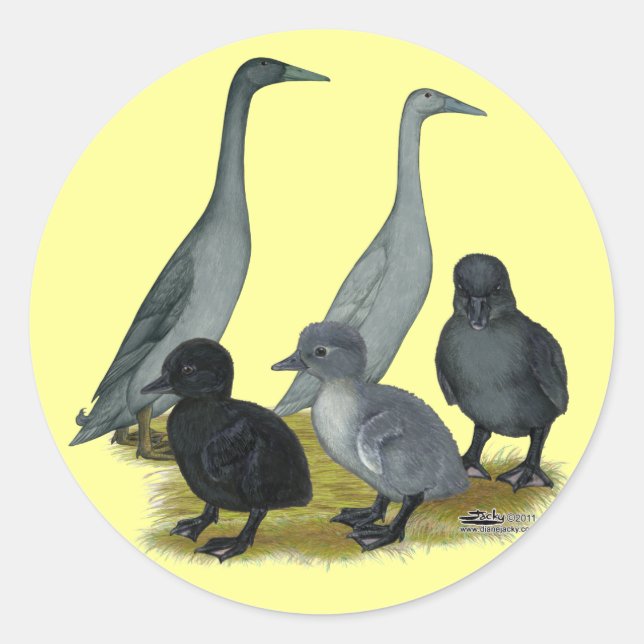 Pegatina Redonda Familia Blue Runner Duck (Anverso)