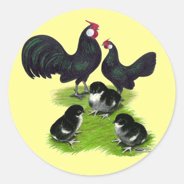 Pegatina Redonda Familia de Bantam Negro Rosecomb (Anverso)