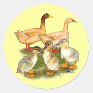 Pegatina Redonda Familia de patos Buff Orpington
