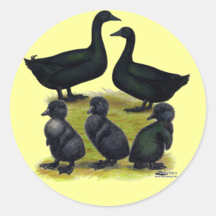 Pegatina Redonda Familia de patos Cayuga
