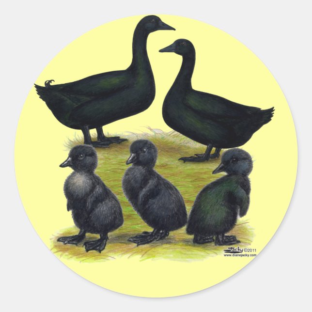 Pegatina Redonda Familia de patos Cayuga (Anverso)