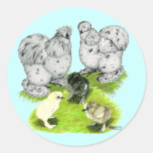 Pegatina Redonda Familia Silkie Bantam Splash
