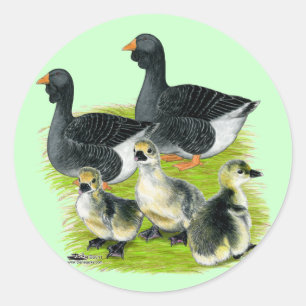 Pegatina Redonda Familia Toulouse Goose