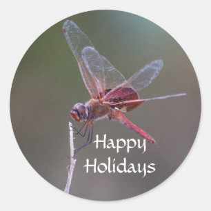 Pegatina Redonda Felices vacaciones Dragonfly
