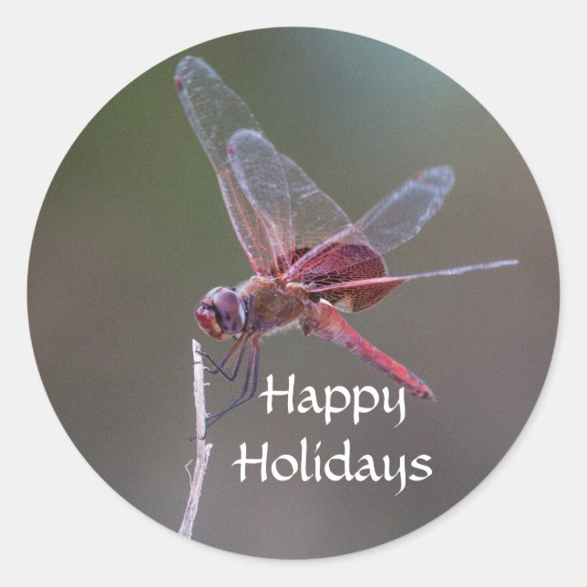 Pegatina Redonda Felices vacaciones Dragonfly (Anverso)
