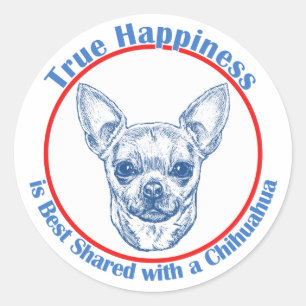 Pegatina Redonda Felicidad verdadera con una chihuahua