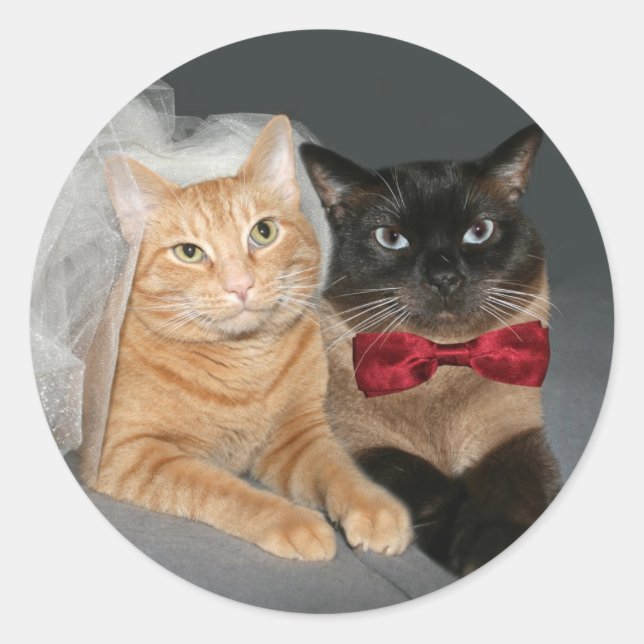 Pegatina Redonda Feline Bride y Groom (Anverso)