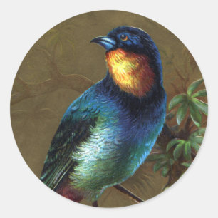 Pegatina Redonda Feliz Año Nuevo del pájaro tropical