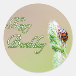 Pegatina Redonda ¡Feliz cumpleaños a los pegatinas con una mariquit