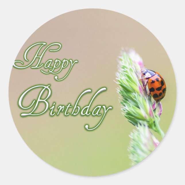 Pegatina Redonda ¡Feliz cumpleaños a los pegatinas con una mariquit (Anverso)