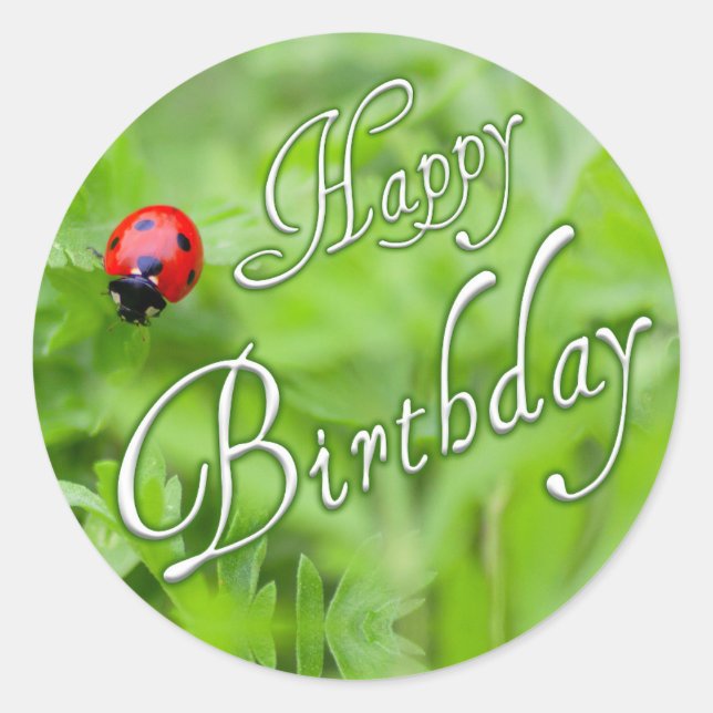 Pegatina Redonda ¡Feliz cumpleaños a los pegatinas con una mariquit (Anverso)