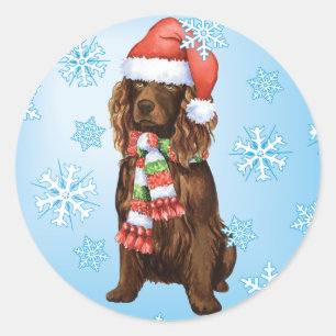 Pegatina Redonda Feliz cumpleaños Boykin Spaniel