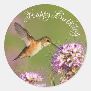 Pegatina Redonda Feliz cumpleaños Hummingbird WildFlores