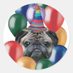 Pegatina Redonda Feliz cumpleaños Pegatinas de perro Pug