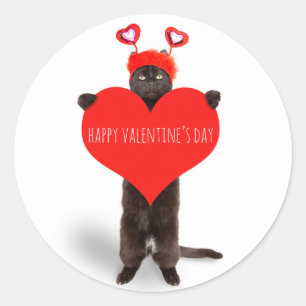 Pegatina Redonda Feliz Día de San Valentín lindo gato con humor de 
