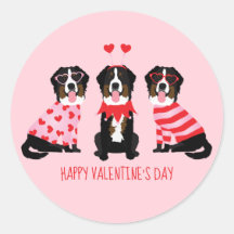 Feliz Día de San Valentín Perros de Montaña Bernes