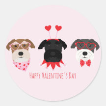 Feliz Día de San Valentín Perros Schnauzer