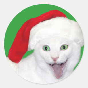 Pegatina Redonda Feliz Gato Santa