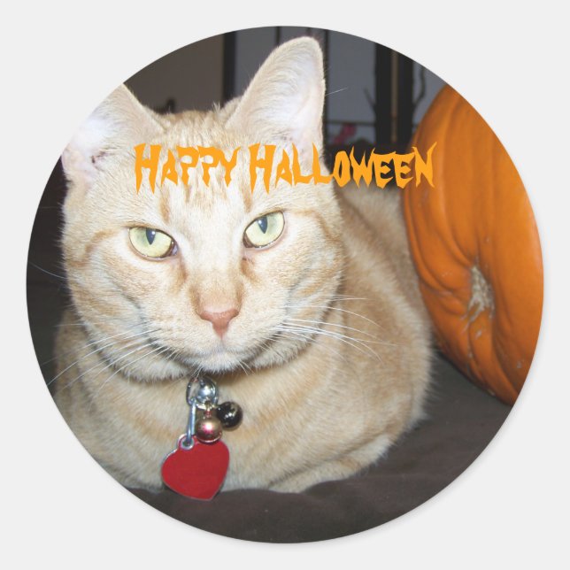 Pegatina Redonda Feliz Naranja De Halloween Tabby Cat Con Calabaza (Anverso)