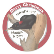 Feliz Navidad +¿qué pasa? Pájaro carpintero John G