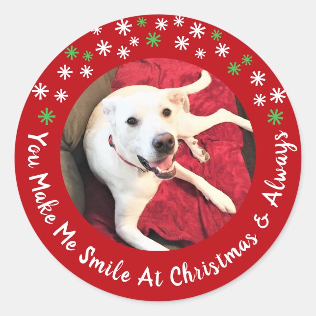 Pegatina Redonda Feliz Navidad Sonriente Perro Foto Graciosa Círcul (Anverso)
