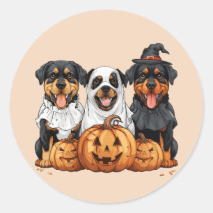 Pegatina Redonda Feliz Rottweiler de Halloween perros Jack O Lanter